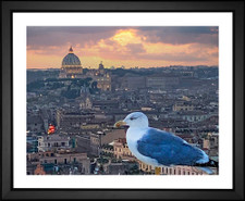 Geraldine Su, Seabird Over Rome, EFX, EFX Gallery, art, photography, giclée, prints, picture frames