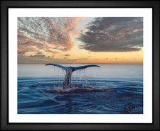 Humpback Whale Tail, EFX, EFX Gallery, art, photography, giclée, prints, picture frames