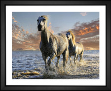 Patou Ricard, Horses on the Beach, EFX, EFX Gallery, art, photography, giclée, prints, picture frames