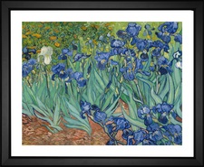 Vincent Van Gogh, Irises 1889, EFX, EFX Gallery, art, photography, giclée, prints, picture frames