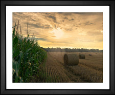 Corn Field, EFX, EFX Gallery, art, photography, giclée, prints, picture frames