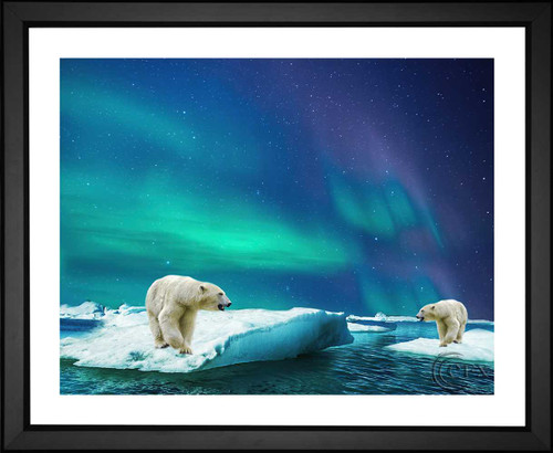 Francais, Polar Bear in Northern Lights, EFX, EFX Gallery, art, photography, giclée, prints, picture frames