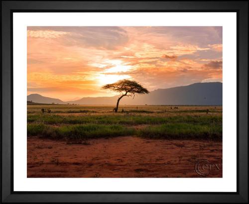 Damian Patkowski, Kenya Africa Sunset, EFX, EFX Gallery, art, photography, giclée, prints, picture frames