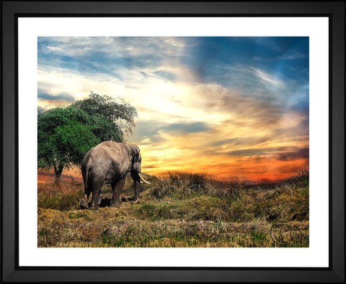 Joeclub_ake., Elephant in Thailand, EFX, EFX Gallery, art, photography, giclée, prints, picture frames