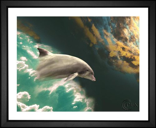 Myriams-Fotos, Dolphin Fantasy Leap, EFX, EFX Gallery, art, photography, giclée, prints, picture frames