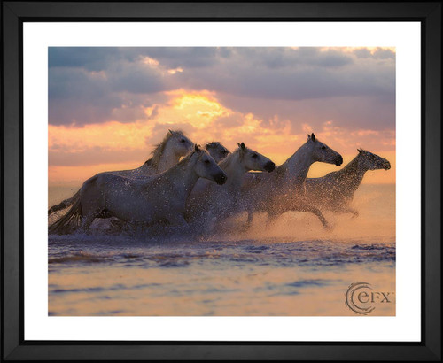 Patou Ricard, Horses Running at Sunset, EFX, EFX Gallery, art, photography, giclée, prints, picture frames