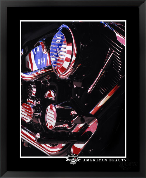 Daniel Peirce, American Beauty, EFX, EFX Gallery, art, photography, giclée, prints, picture frames