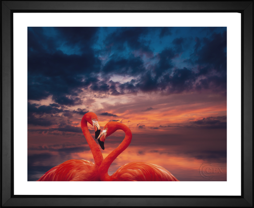 Enrique Lopez Garre, Flamingo Love, EFX, EFX Gallery, art, photography, giclée, prints, picture frames