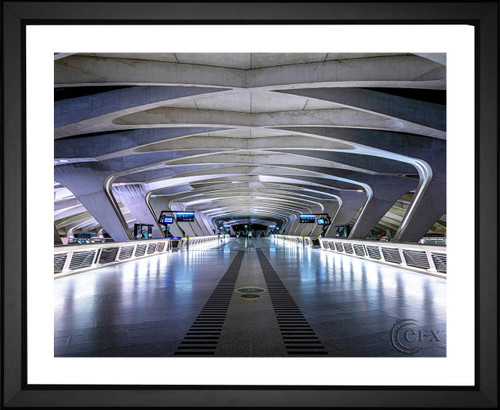 Bosco Shots, Tunnel at Gare de Saint-Exupéry TGV, EFX, EFX Gallery, art, photography, giclée, prints, picture frames rail station