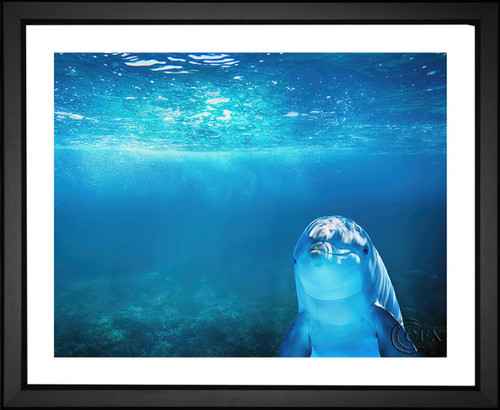 Enrique, Dolphin in Blue Sea, EFX, EFX Gallery, art, photography, giclée, prints, picture frames