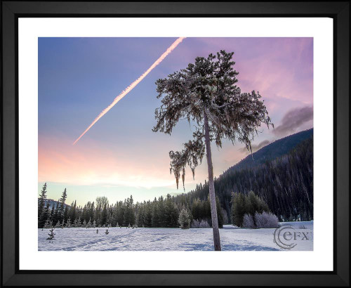 James Wheeler, Snowy Forest, EFX, EFX Gallery, art, photography, giclée, prints, picture frames