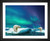 Francais, Polar Bear in Northern Lights, EFX, EFX Gallery, art, photography, giclée, prints, picture frames