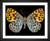 Skeeze, Spotted Butterfly, EFX, EFX Gallery, art, photography, giclée, prints, picture frames, insects, spots, nature