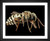 Skeeze, Honey Bee, EFX, EFX Gallery, art, photography, giclée, prints, picture frames fine art print color changing print giclee framed art photographer Skeeze