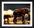 Gerhard G., Elephants Moonlight, EFX, EFX Gallery, art, photography, giclée, prints, picture frames