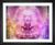 Okan Caliskan, Meditation, EFX, EFX Gallery, art, photography, giclée, prints, picture frames, framed art print yoga
