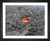 Lava Kilauea Hawaii, EFX, EFX Gallery, art, photography, giclée, prints, picture frames