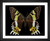 Skeeze, Madagascan Sunset Moth, EFX, EFX Gallery, art, photography, giclée, prints, picture frames
