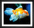 Rudy and Peter Skitterians, Goldfish Fishbowl, EFX, EFX Gallery, art, photography, giclée, prints, picture frames