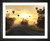 Cindy Lever, Hot Air Balloons at Sunrise, EFX, EFX Gallery, art, photography, giclée, prints, picture frames