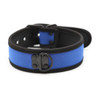 Collar - Neoprene Dog Collar with D Ring (4 color options)