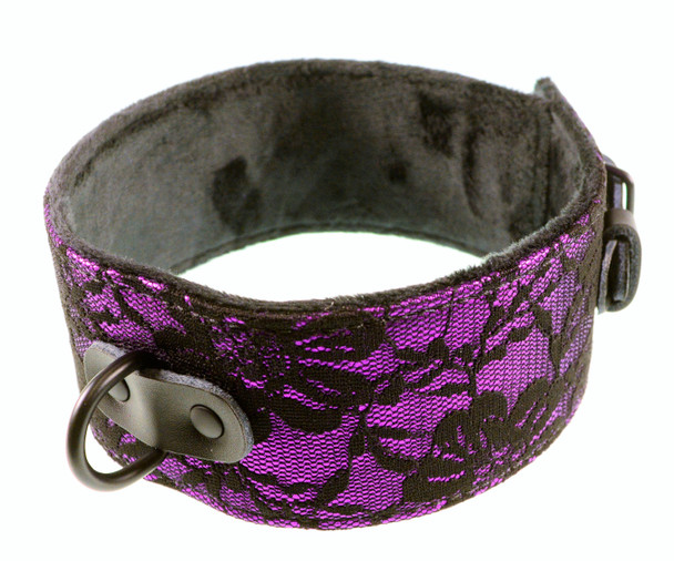 Purple D ring Collar w/ Black Lace