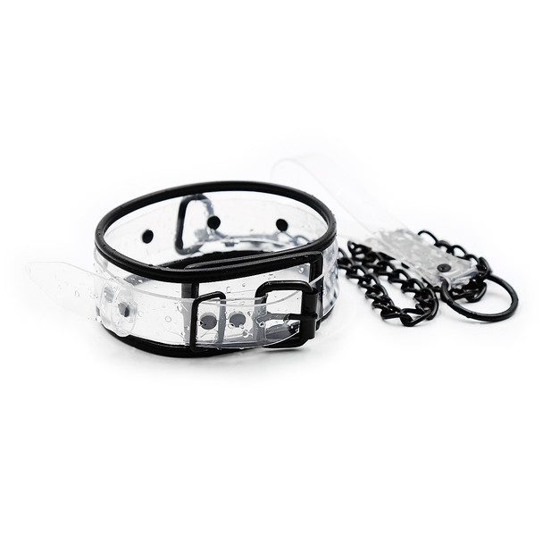 Collar Clear D-ring Collar with Blk Piping w Leash