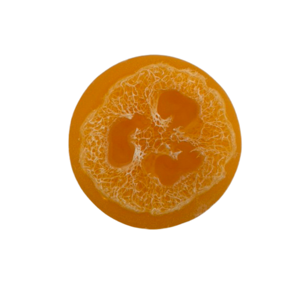 Florida Sunrise Exfoliating Loofah Soap