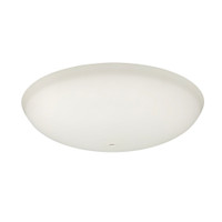 Glass Shade for 81030/81031/81032