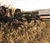 MDT | DRT Chassis, 700 SA, Folding, ARCA - Hunting | Mile High Shooting Accessories