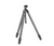 Really Right Stuff | TFCT MK2 Tripod 33 w/ Anvil-30 ARC Head - Standing | Mile High Shooting Accessories