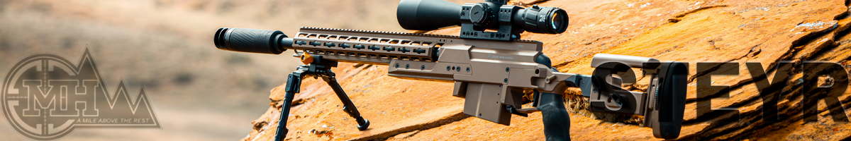 Steyr Arms Corp