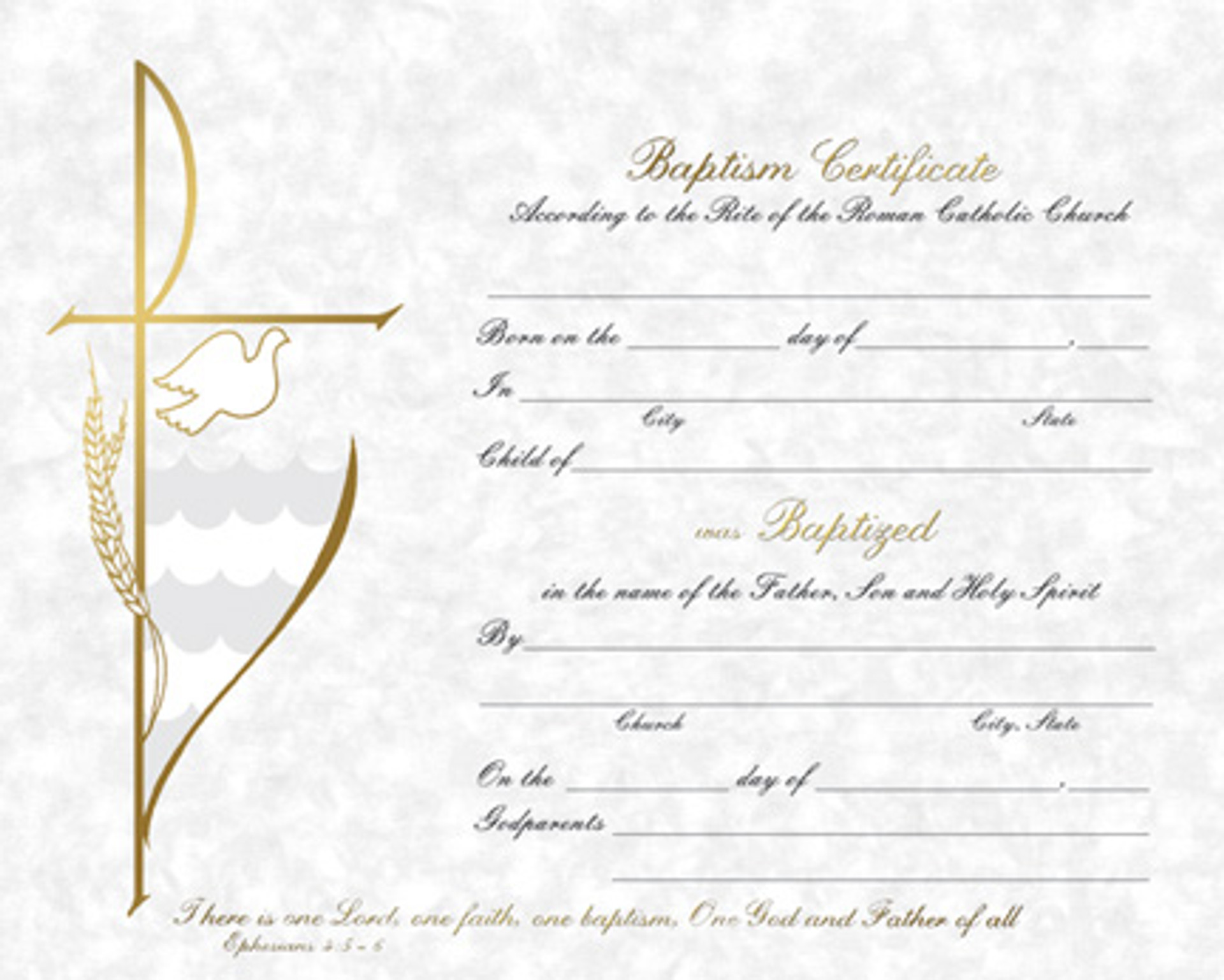 Baptism Certificates Pad Of 50 Holy Land Art Company LLC Baptism Certificates Pad Of 50 Holy Land Art Company LLC