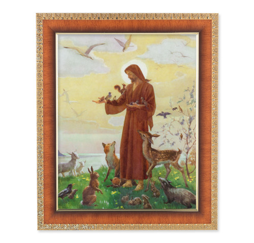 St. Francis Natural Tiger Cherry Framed Art