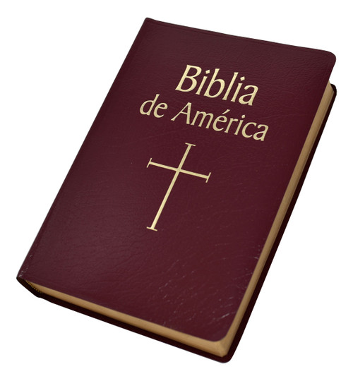 Biblia de America | Burgundy | Imitation Leather