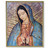 Our Lady of Guadalupe Plain Gold Framed Plaque Art | Style B