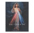 Divine Mercy Canvas Print