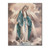 Our Lady of Grace Canvas Print
