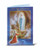 Our Lady of Lourdes Novena and Prayers Booklet