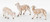 Set of Sheep - 3 Pieces | 7.5" Scale | Fontanini Italian Nativity