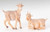 Set of Goats - 2 Pieces |  5" Scale | Fontanini Italian Nativity