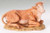 Seated Ox |  5" Scale | Fontanini Italian Nativity