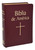 Biblia de America | Burgundy | Imitation Leather