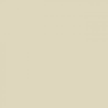 Quilt Backing Fabric