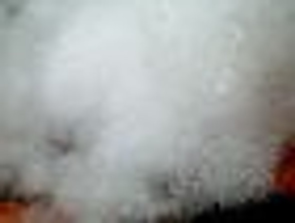 White polyester fiberfill stuffing 6 denier 20 oz.