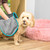 XL Pet Drying Towel with Pockets
