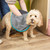 Grey pet drying towel with pockets in packaging, shown rolled up, super absorbent and antibacterial.
