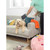 Anti-Bac Double-Sided Pet Drying Mitt