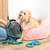 Dog Drying Towel – XL Pet Towel - LA036157UFEU7 - 5054061536157