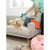 Blue reusable pet hair remover roller with handle, product image